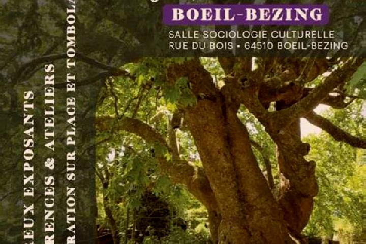Naomi, 20 — Escort in Boeil-Bezing, France
