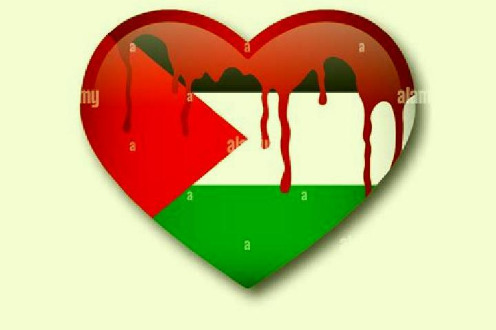 Naomi, 20 — Escort in Imrish, Palestine