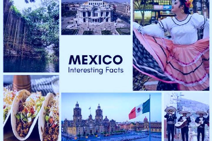Naomi, 20 — Escort in Jonotal Azteca, Mexico