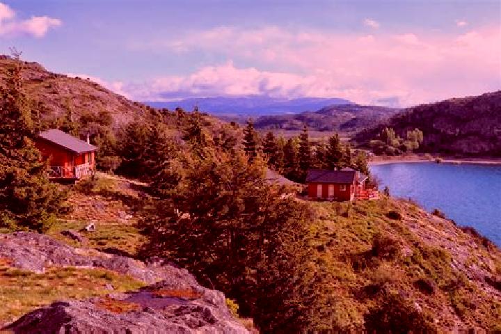 Naomi, 20 — Escort in Patagonia, United States
