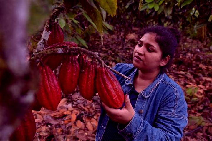 Naomi, 21 — Escort in Francisco J. Santamaria (Cacao), Mexico