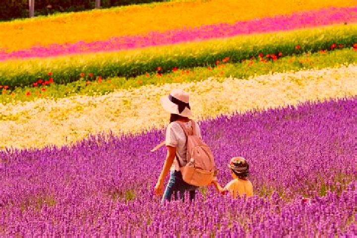 Naomi, 21 — Escort in Kami-furano, Japan