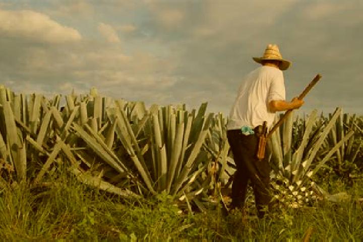 Naomi, 21 — Escort in Mezcales, Mexico