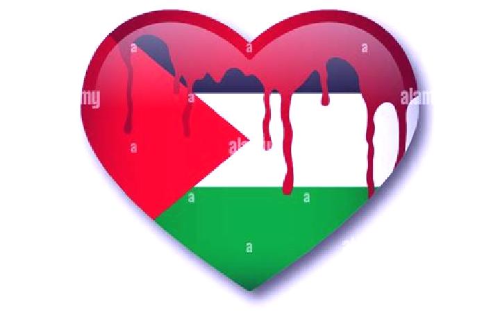 Naomi, 22 — Escort in Falamyah, Palestine