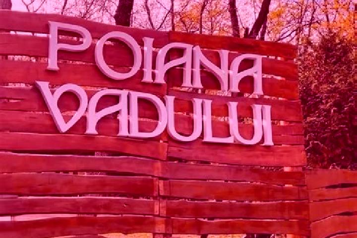 Naomi, 22 — Escort in Poiana Vadului, Romania