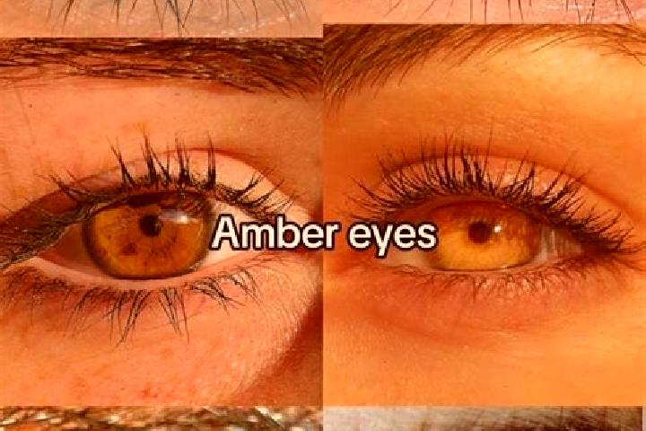 Naomi, 23, a chestnut amber-eyed european companion based in Meybod. Offering 69, Fetish, CIM. Available for incall and outcall, overnight bookings available.