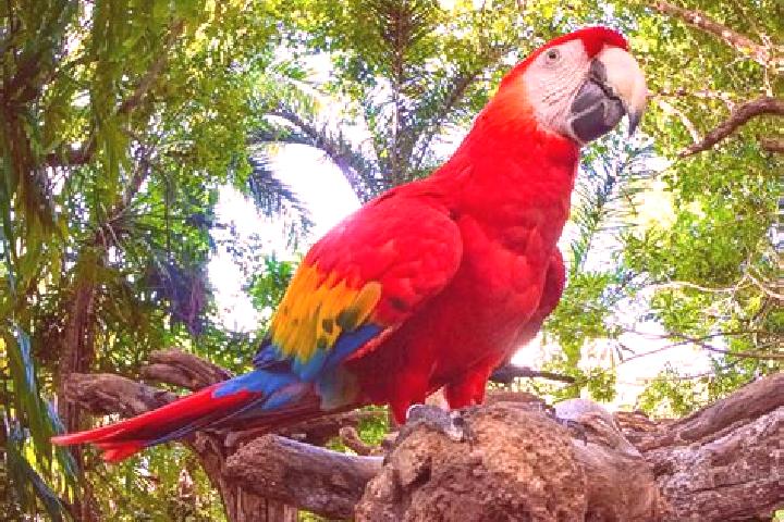 Naomi, 23 — Escort in Las Guacamayas, Mexico