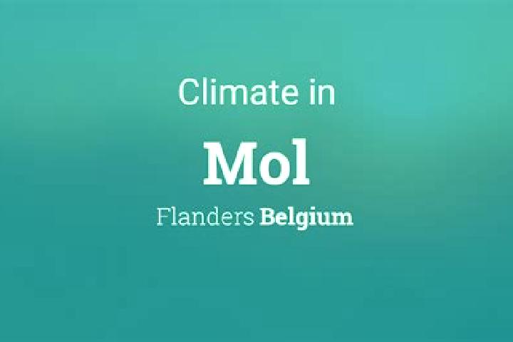 Naomi, 23 — Escort in Mol, Belgium