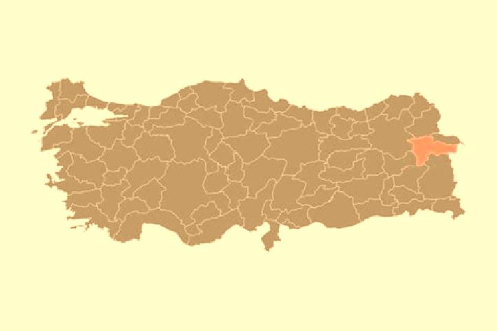 Naomi, 24 — Escort in Agri, Turkey