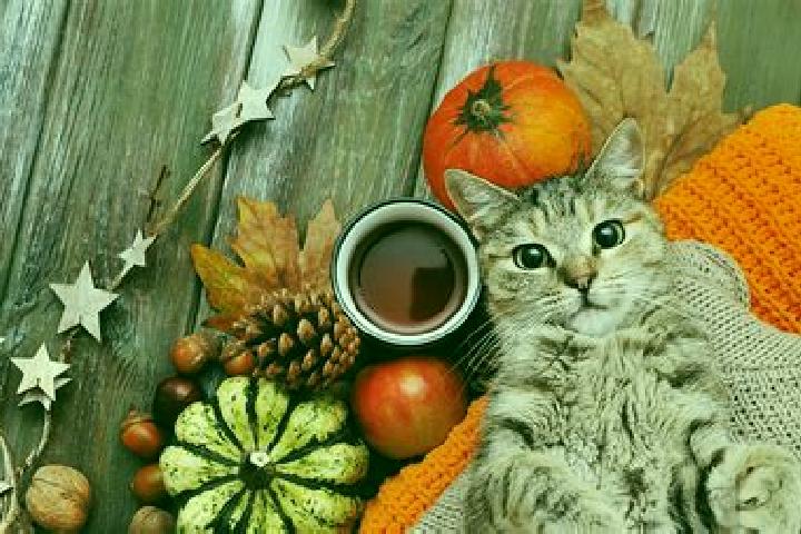 Naomi, 24 — Escort in Cat, Turkey
