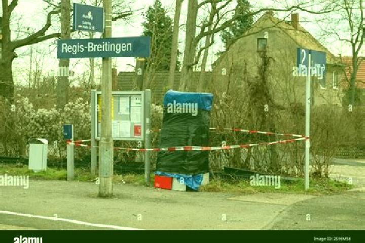 Naomi, 24 — Escort in Regis-Breitingen, Germany