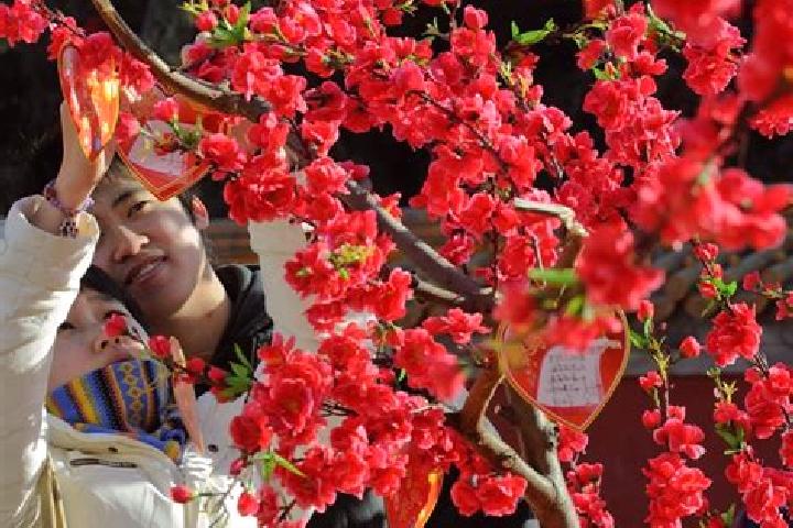 Naomi, 24 — Escort in Shima, China