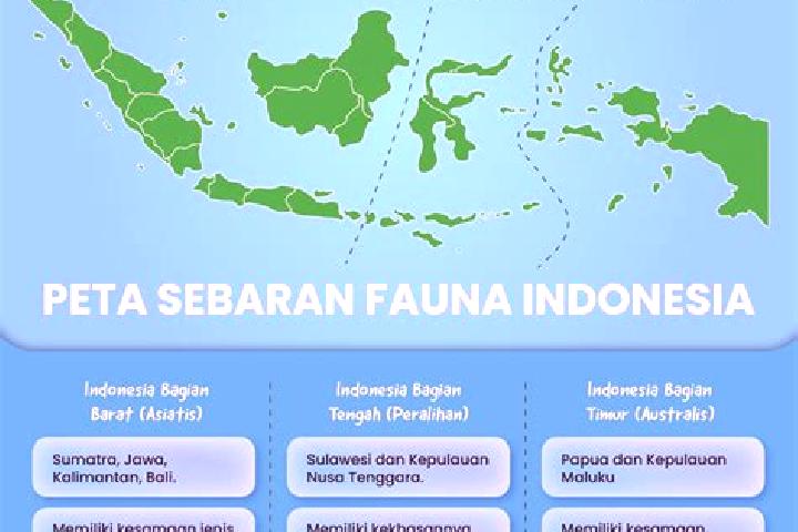 Naomi, 25 — Escort in Karang Tengah, Indonesia