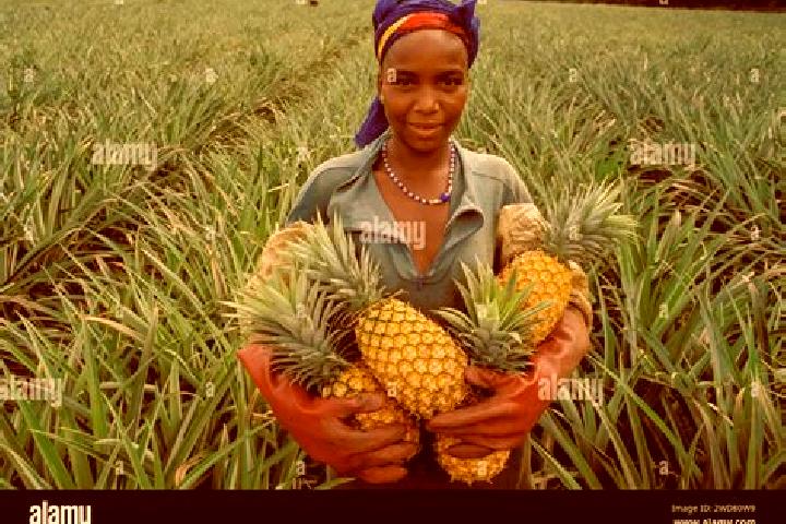 Naomi, 28 — Escort in Dabou, Ivory Coast