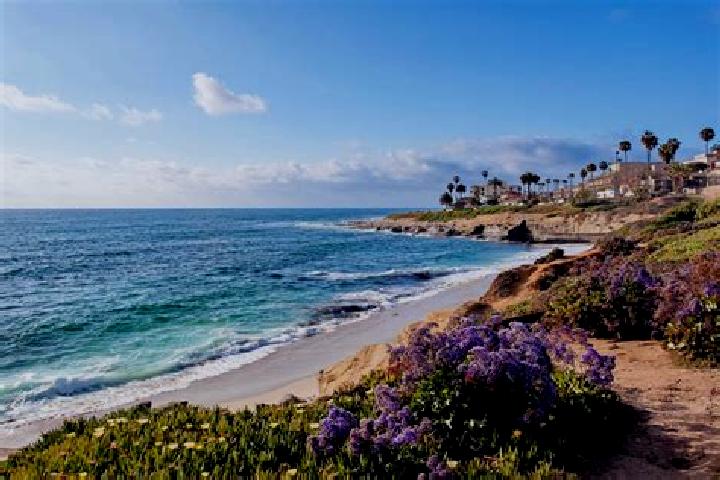 Naomi, 28 — Escort in La Jolla, United States