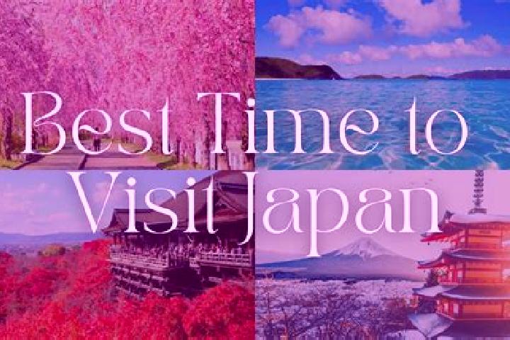 Naomi, 28 — Escort in Takanuki, Japan