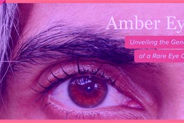 Naomi, 29, a red amber-eyed indian companion based in Mankachar. Offering CIM, GFE, Striptease, Girlfriend Experience. Available for incall and outcall, day ...