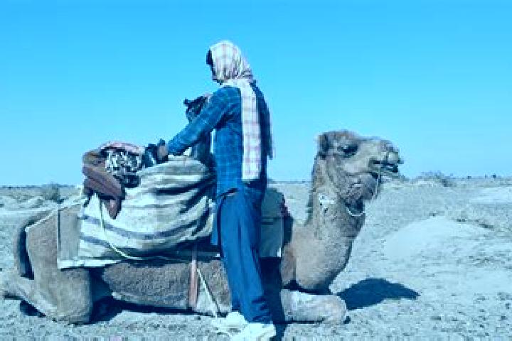 Naomi, 29 — Escort in Dasht-e Qal ah, Afghanistan