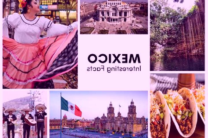 Naomi, 29 — Escort in Nahalal, Mexico