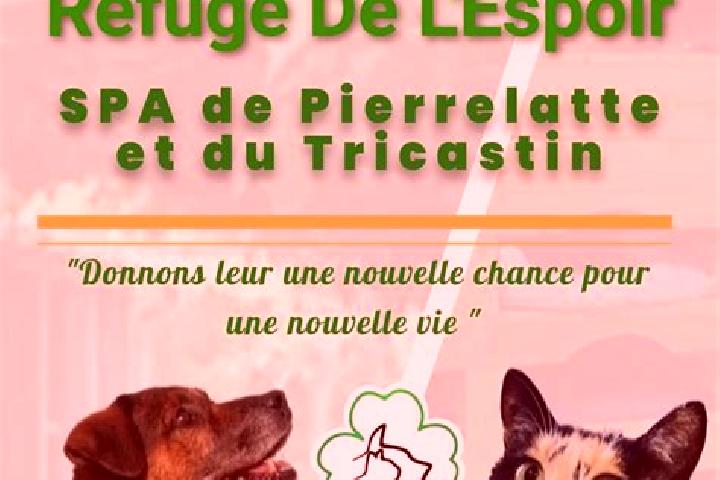 Naomi, 29 — Escort in Pierrelatte, France