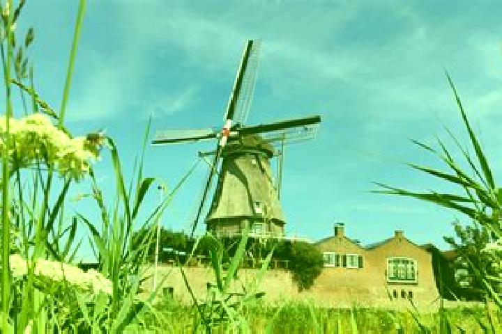 Naomi, 29 — Escort in Welberg, Netherlands