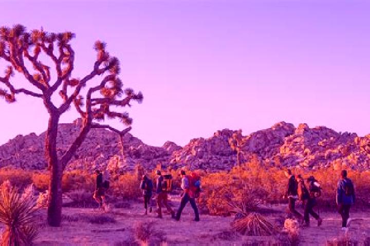 Naomi, 30 — Escort in Joshua Tree, United States