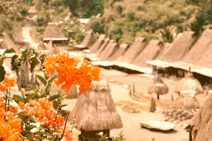Naomi, 31 — Escort in Bajawa, Indonesia