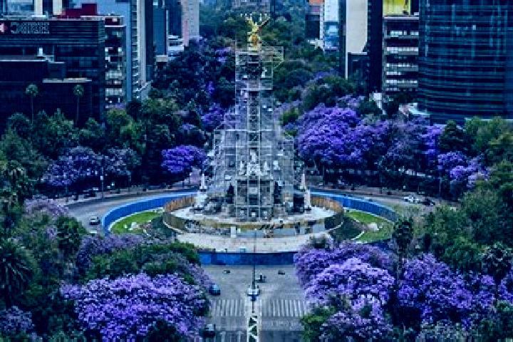 Naomi, 31 — Escort in Jacarandas, Mexico