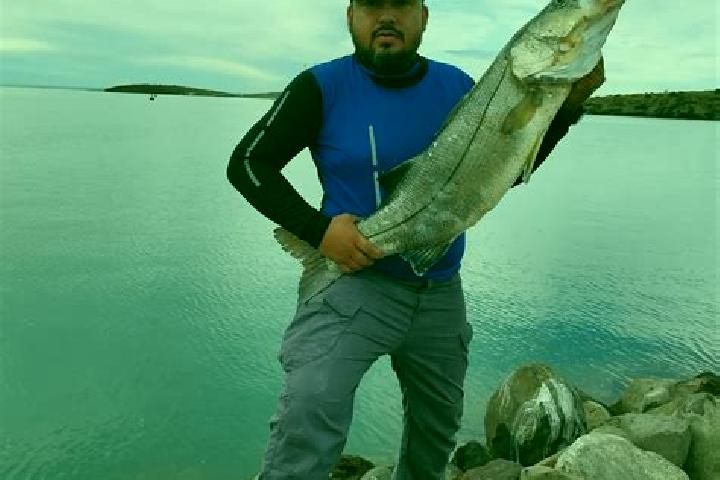 Naomi, 31 — Escort in Ladrillera Pescador, Mexico