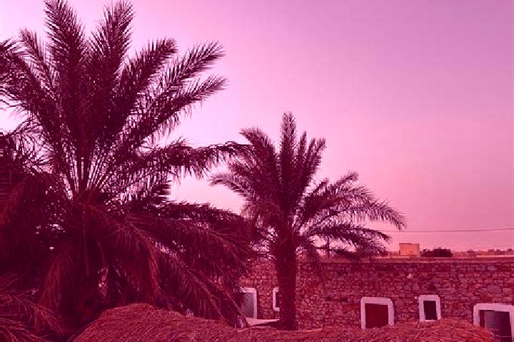 Naomi, 32 — Escort in ElGhediya, Mauritania
