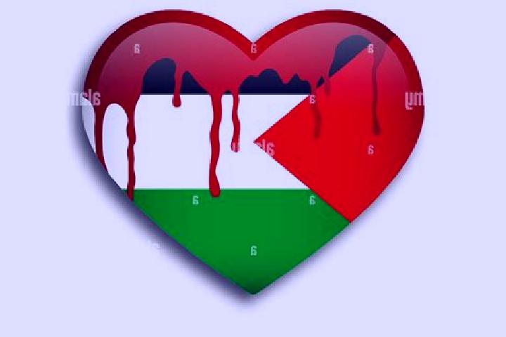 Naomi, 32 — Escort in Falamyah, Palestine