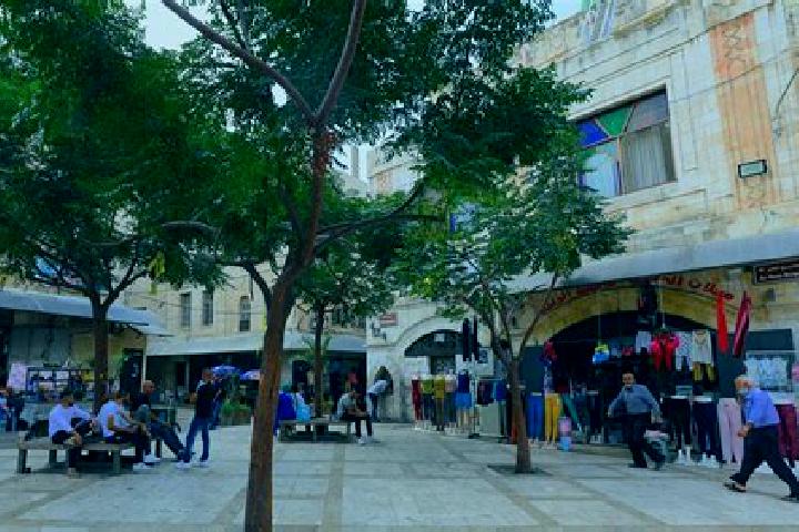 Naomi, 32 — Escort in Old City, Palestine