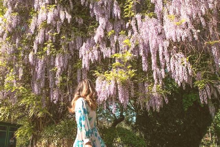 Naomi, 32 — Escort in Schitu Frumoasa, Romania