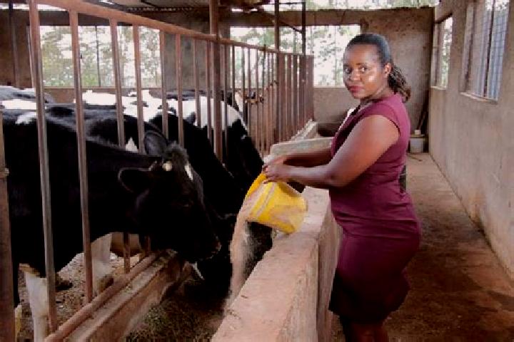 Naomi, 32 — Escort in South Kinangop, Kenya
