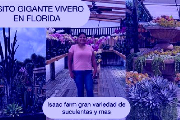 Naomi, 32 — Escort in Viveros de la Loma, Mexico