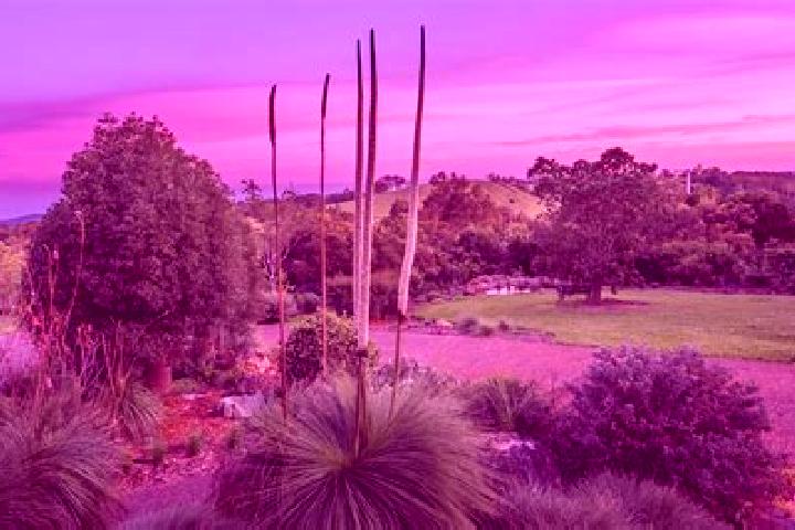 Naomi, 32 — Escort in Windsor Gardens, Australia
