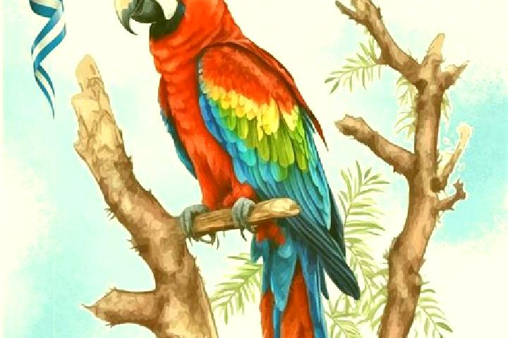 Naomi, 33 — Escort in La Guacamaya, Honduras