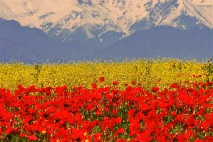 Naomi, 34 — Escort in Altiaghaj, Azerbaijan
