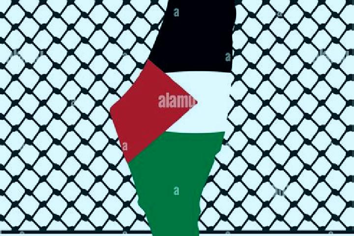 Naomi, 34 — Escort in Bil in, Palestine