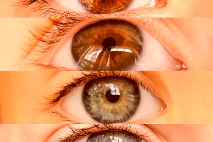 Naomi, 35, a chestnut green-eyed mixed companion based in Futaleufu. Offering Duos, Domination, CIM, Tantra. Available for incall and outcall, day and evenin...