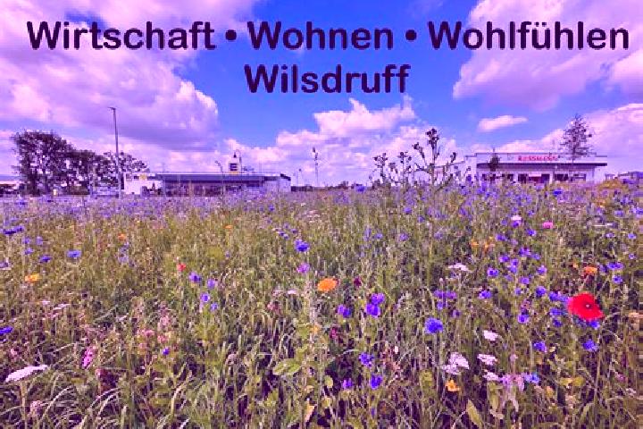 Naomi, 36 — Escort in Wilsdruff, Germany