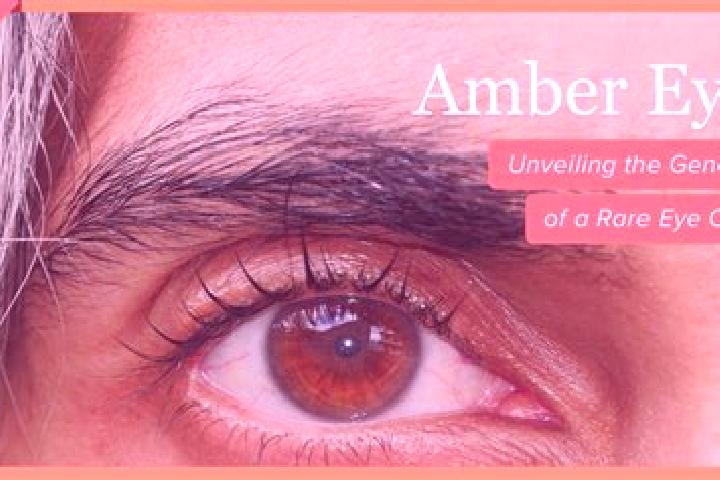 Naomi, 37, a black amber-eyed mixed companion based in Isola del Piano. Offering 69, Travel Companion, OWO. Available for incall and outcall, day and evening...
