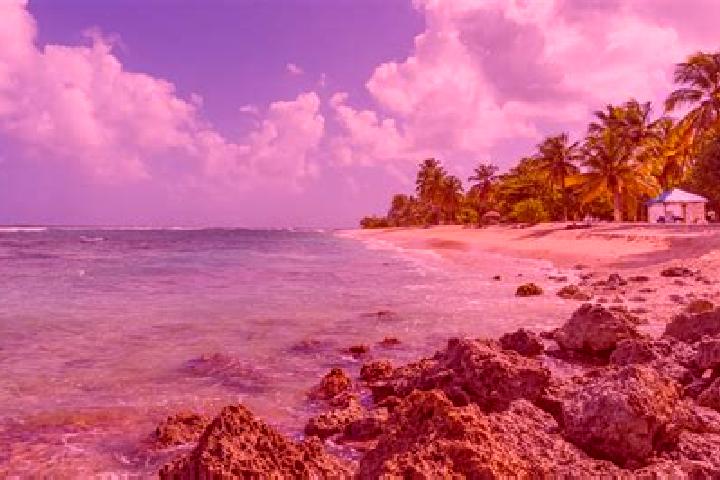 Naomi, 37 — Escort in Anse-Bertrand, Guadeloupe