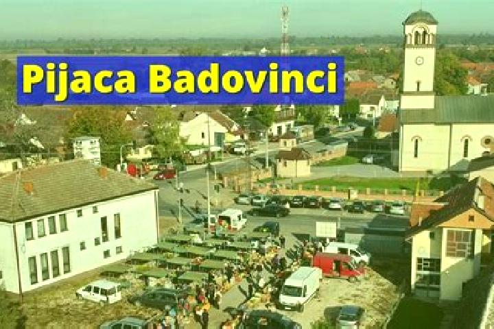 Naomi, 37 — Escort in Badovinci, Serbia