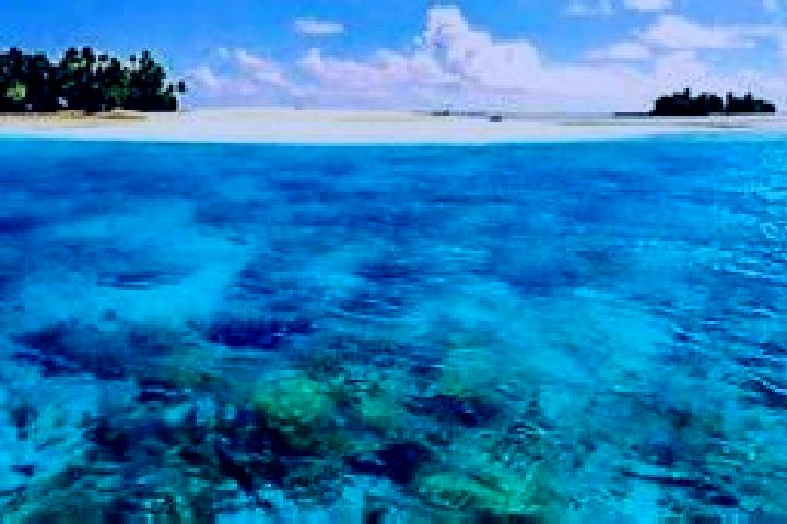 Naomi, 37 — Escort in Banana, Kiribati
