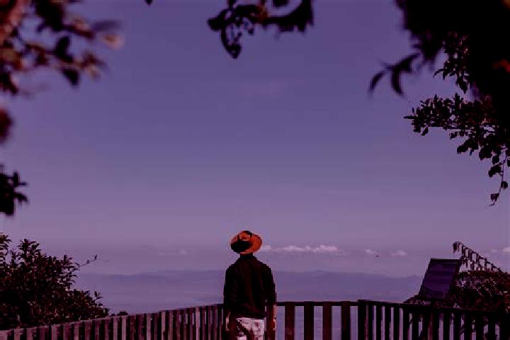 Naomi, 37 — Escort in San Jose Monteverde, Mexico