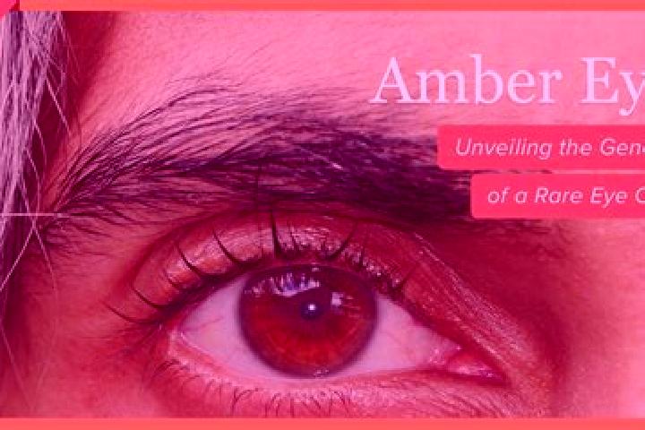 Naomi, 38, a red amber-eyed mixed companion based in Virugambakkam. Offering GFE, Overnight, Girlfriend Experience. Available for incall and outcall, day and...