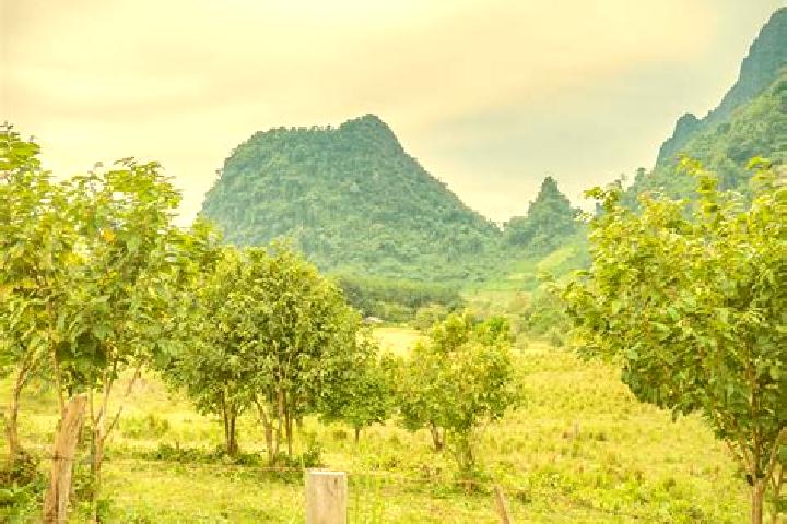 Naomi, 38 — Escort in Ban Xiang-Ngeun, Laos