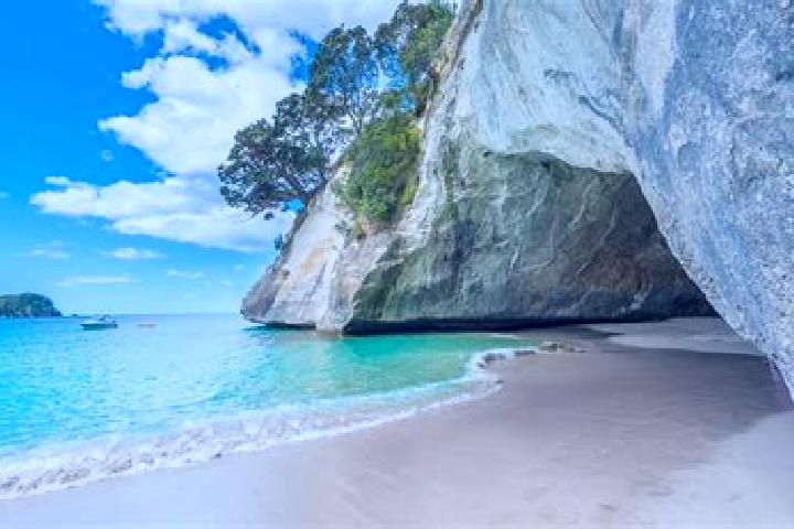 Naomi, 38 — Escort in Farm Cove, New Zealand