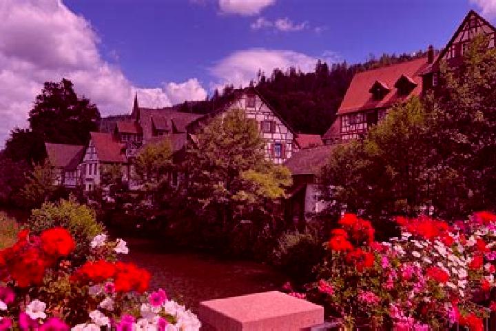 Naomi, 38 — Escort in Schiltach, Germany